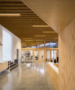 La Ginesta Begues library building architecture design interior view